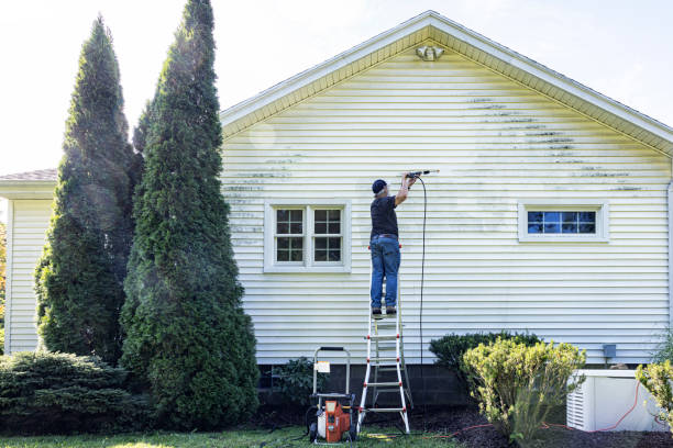 Best Patio and Deck Pressure Washing  in Holden Heights, FL